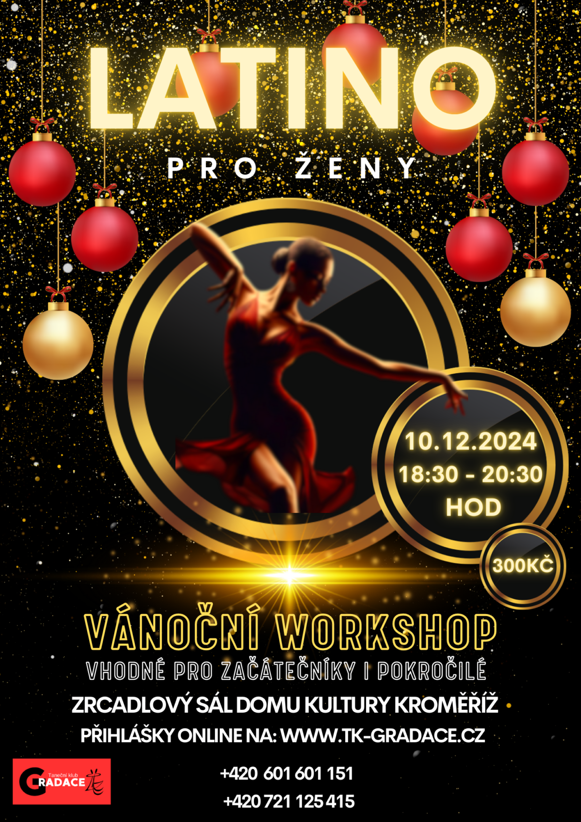 Latino pro ženy – VÁNOČNÍ WORKSHOP
